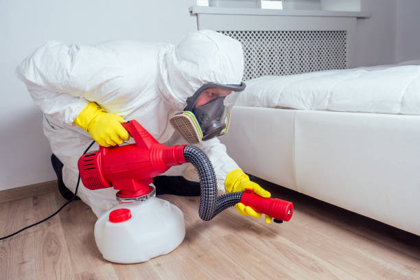 Best Termite Control Services  in Marion, AL
