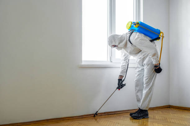 Best Mosquito Control Services  in Marion, AL
