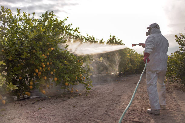 Best Pest Removal Services  in Marion, AL