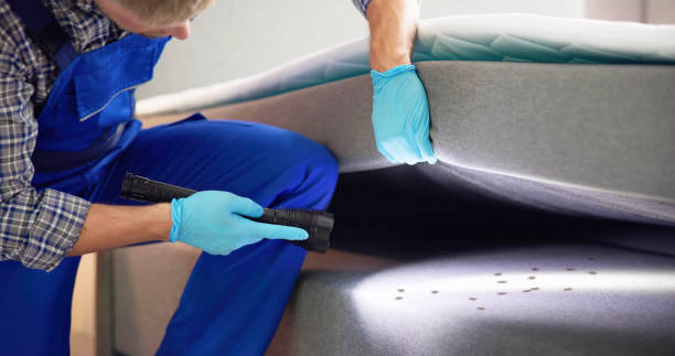 Best Pest Prevention Services  in Marion, AL