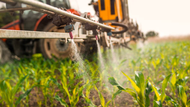 Best Pest Control for Businesses  in Marion, AL